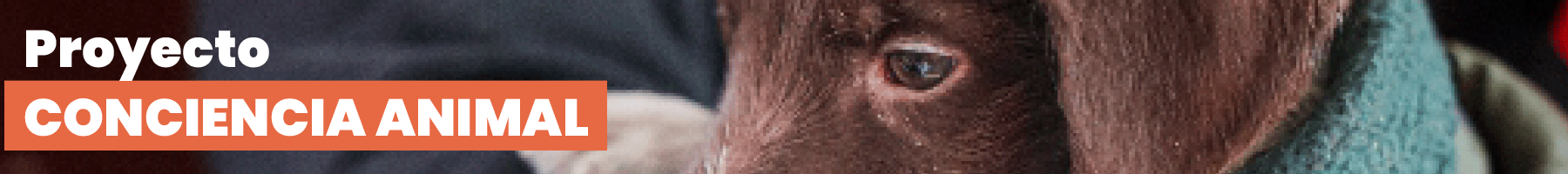1800-x-200
