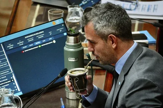 martin menem presidente camara de diputados