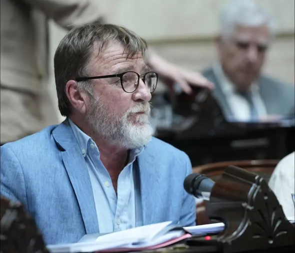 jorge rizotti diputado nacional