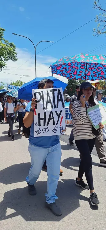 Cedems marcha paro1