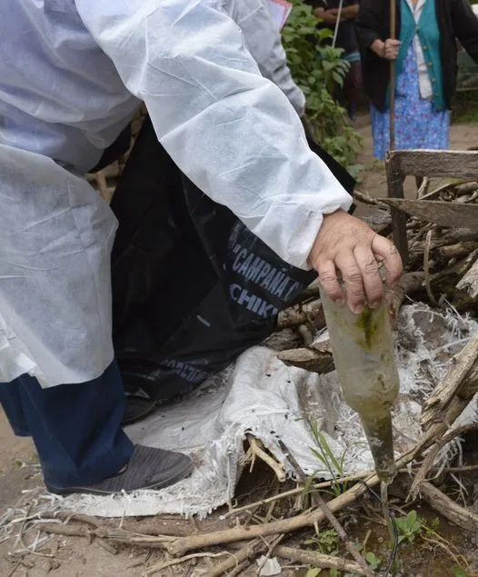 DENGUE JUJUY LIMPIEZA1