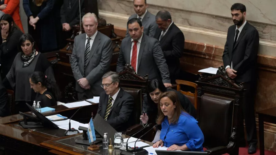SESION DIPUTADOS CRISTINA