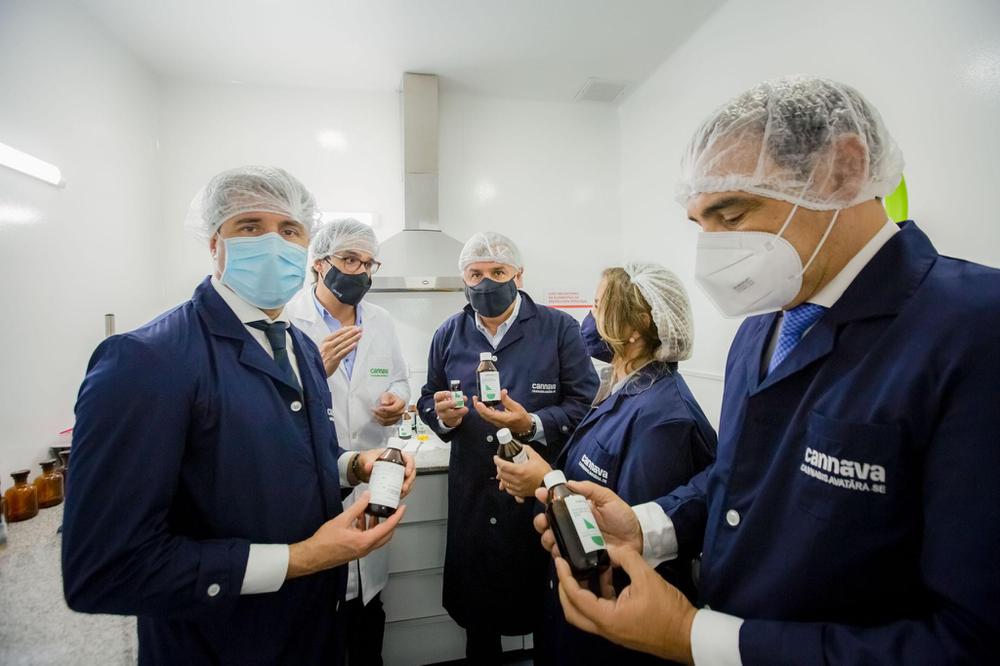 cannava laboratorio6