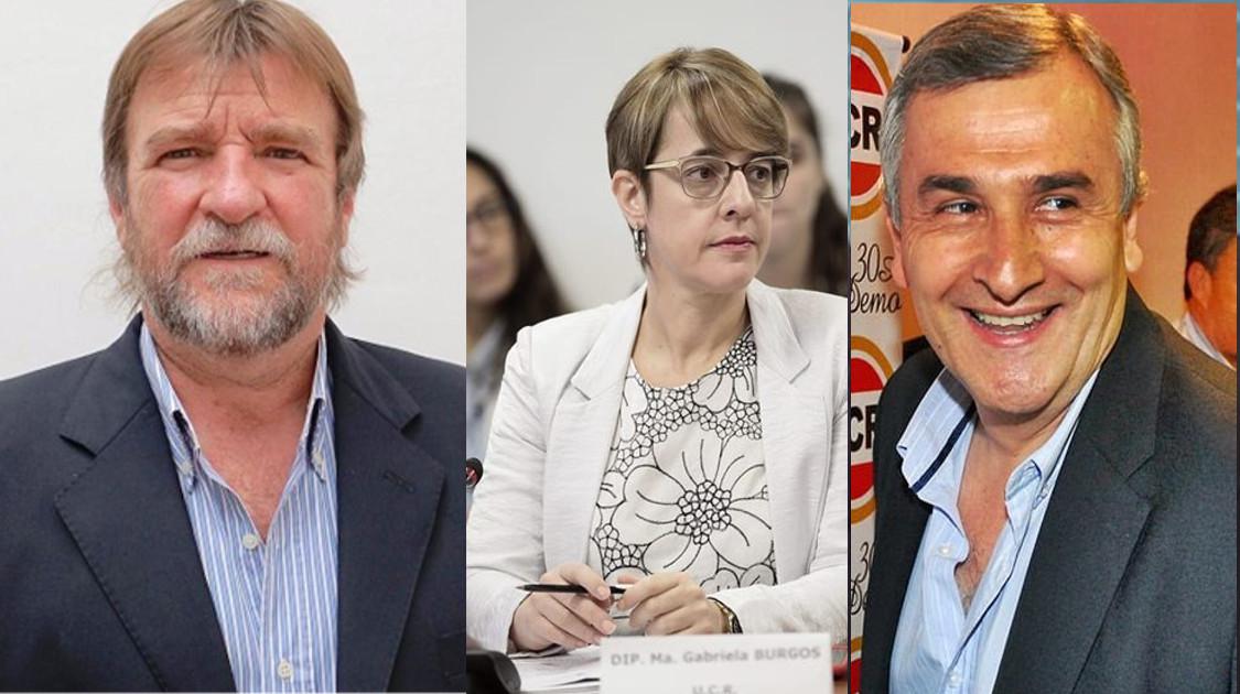diputados nacional ucr