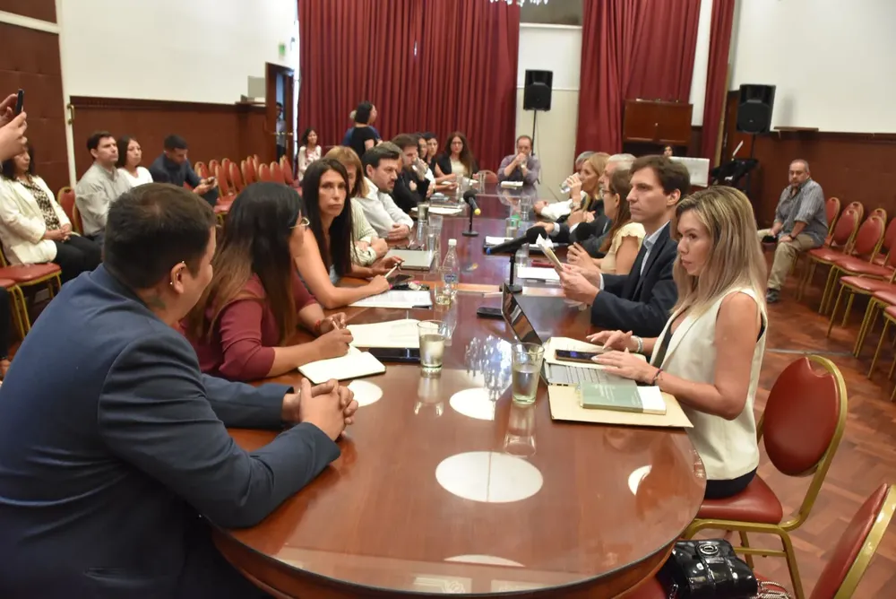 comisión legislatura copartipacion