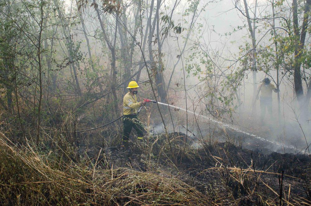 parque calilegua incendio3