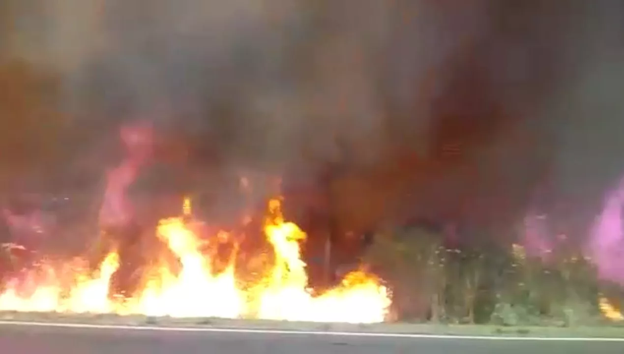incendio ramal2