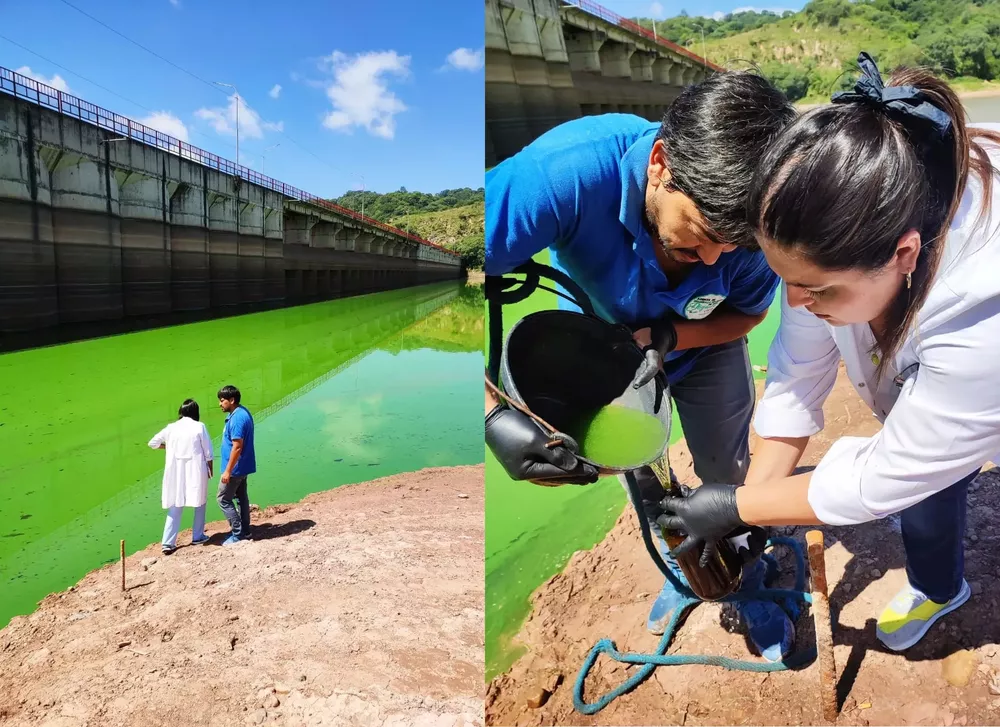 diquei los alisos contaminacion