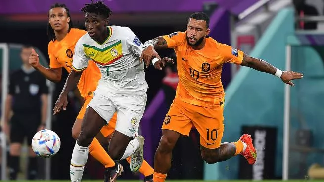 mundial paises bajos senegal2