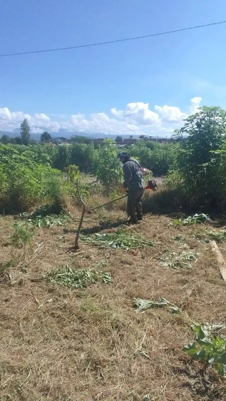 FB_IMG_1741699587248