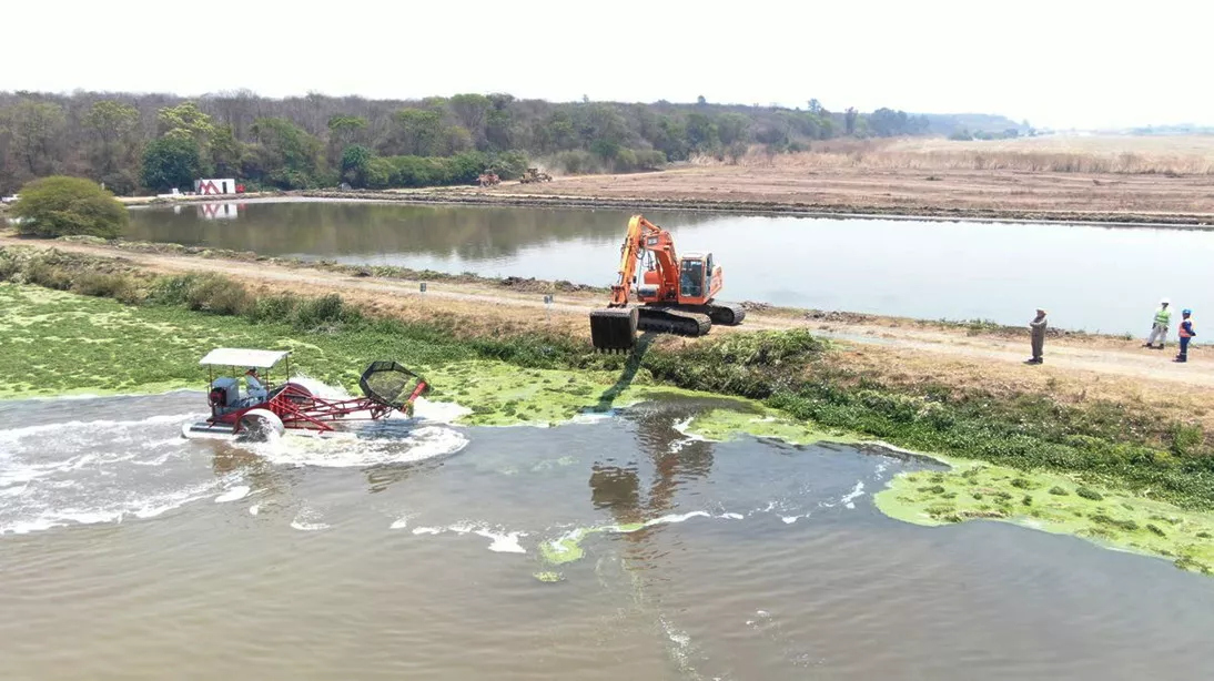 limpieza laguna el pungo
