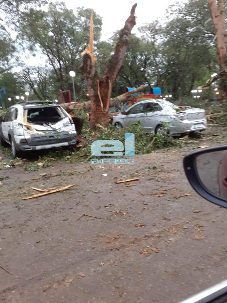 libertador tormenta