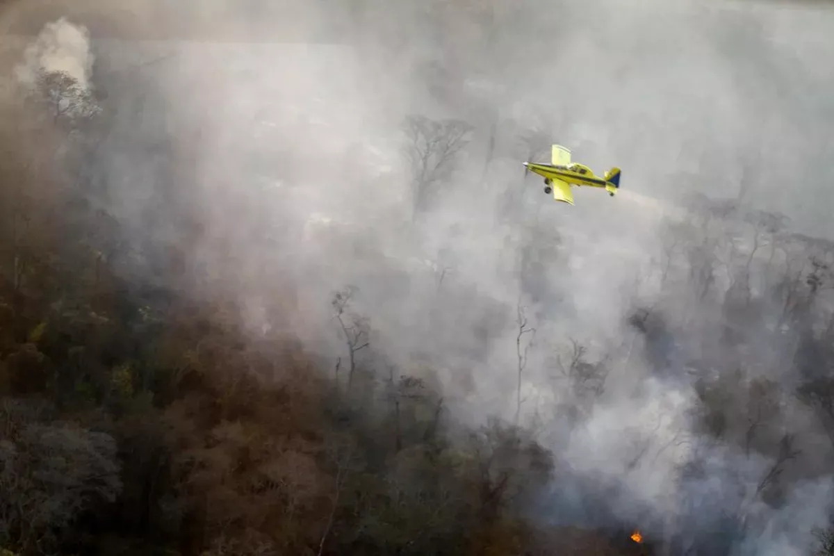 INCENDIO FORESTAL AVION