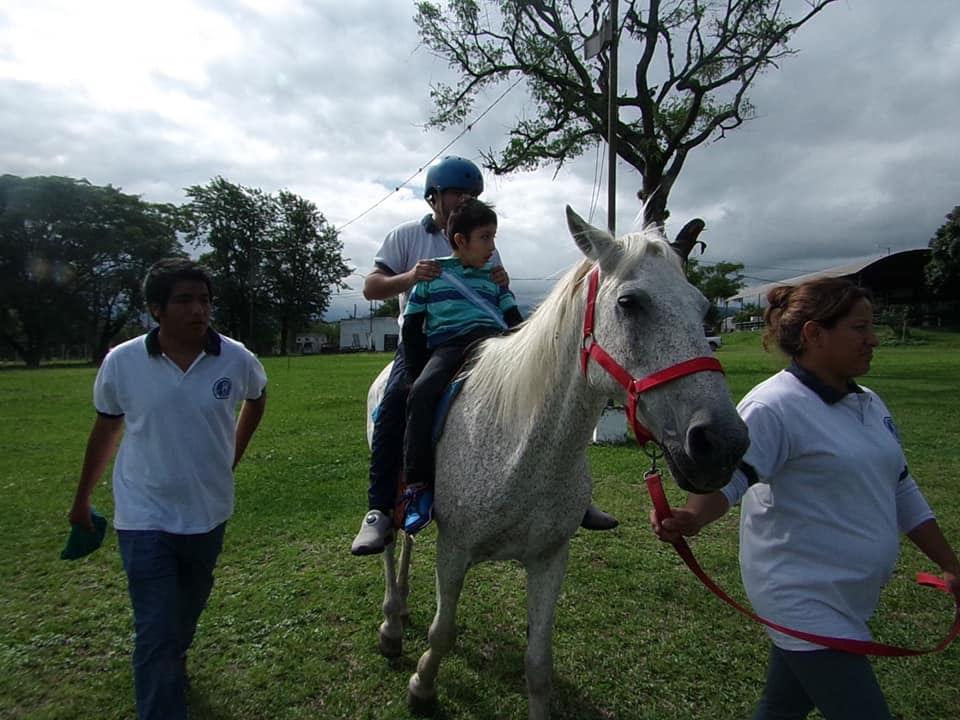 equinoterapia