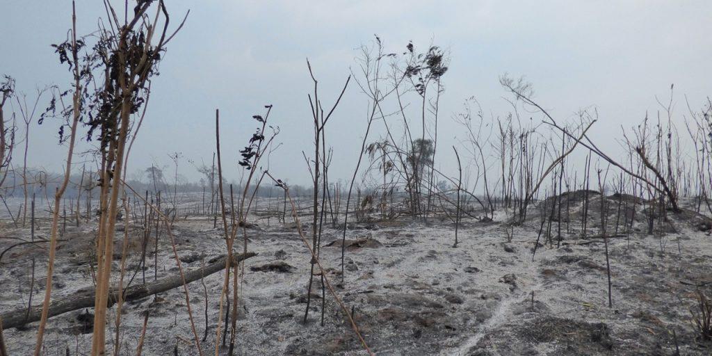 parque calilegua incendio1
