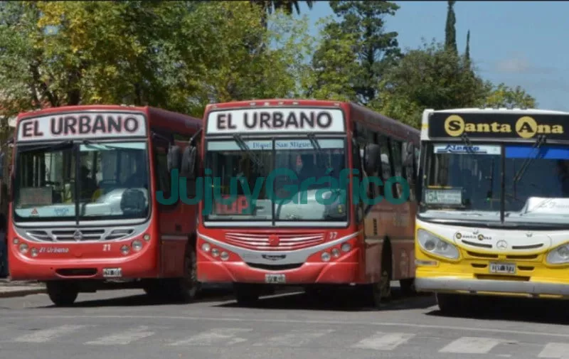 Colectivos-San-Salvador-de-Jujuy
