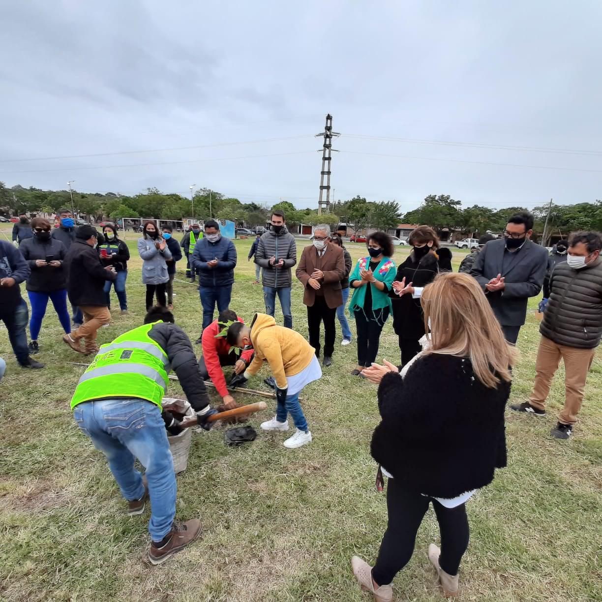 forestacion san pedro 1