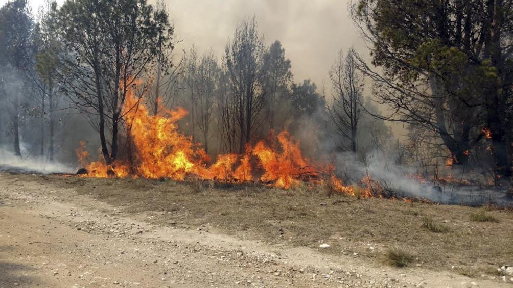 INCENDIOS FORESTALES