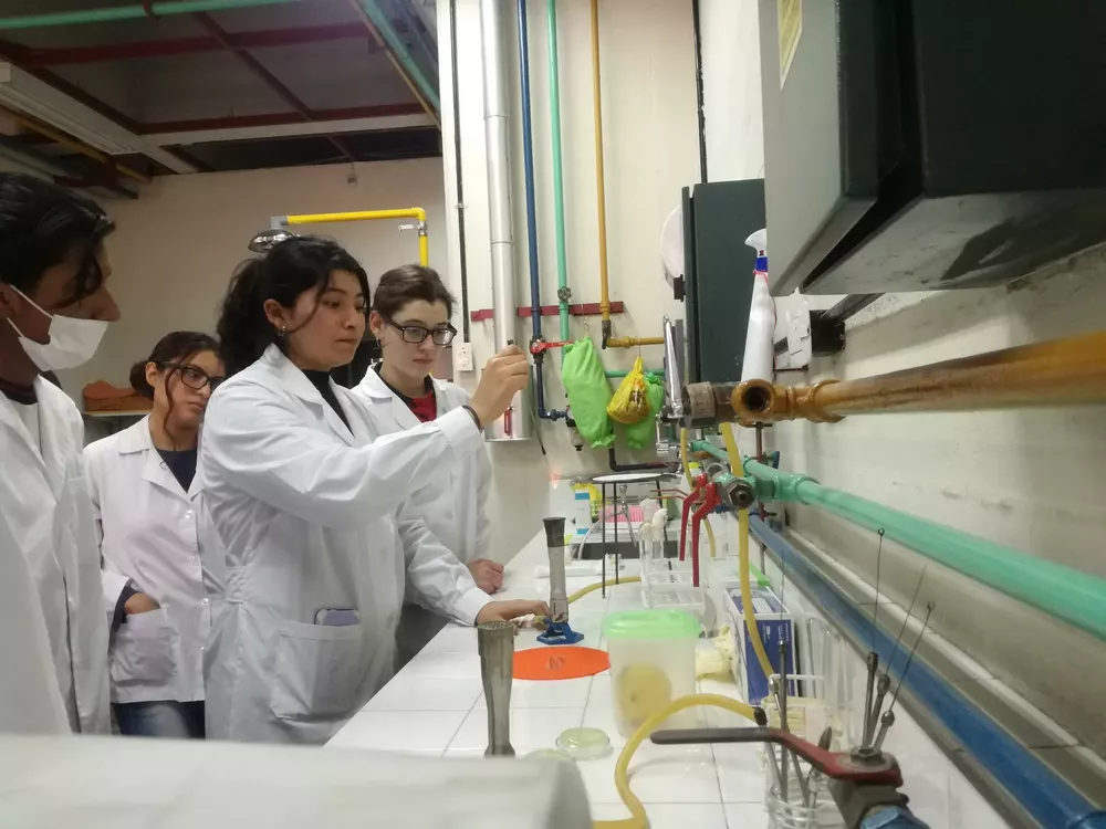 INGENIERIA FACULTAD