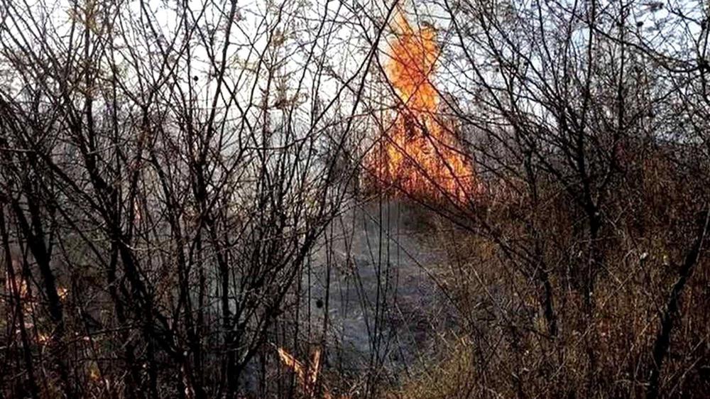 incendio yungas09