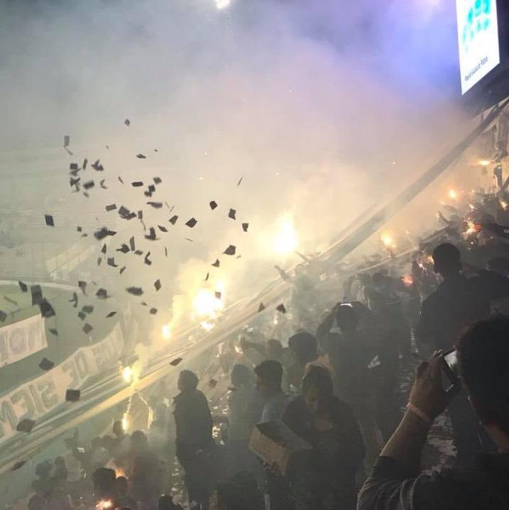tribuna lobo