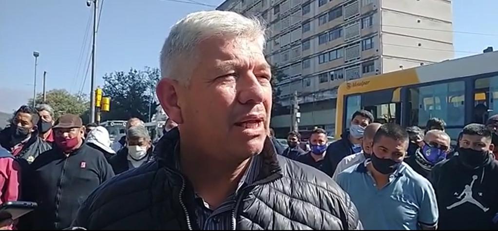 lobo uta