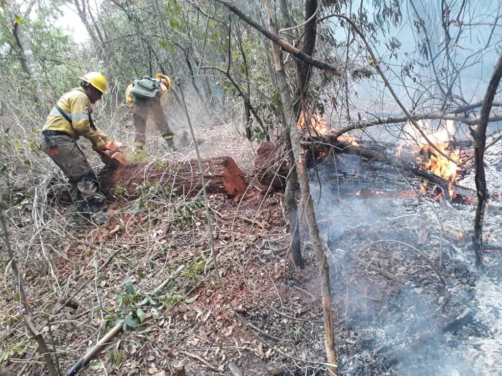 incendio forestal yungas3