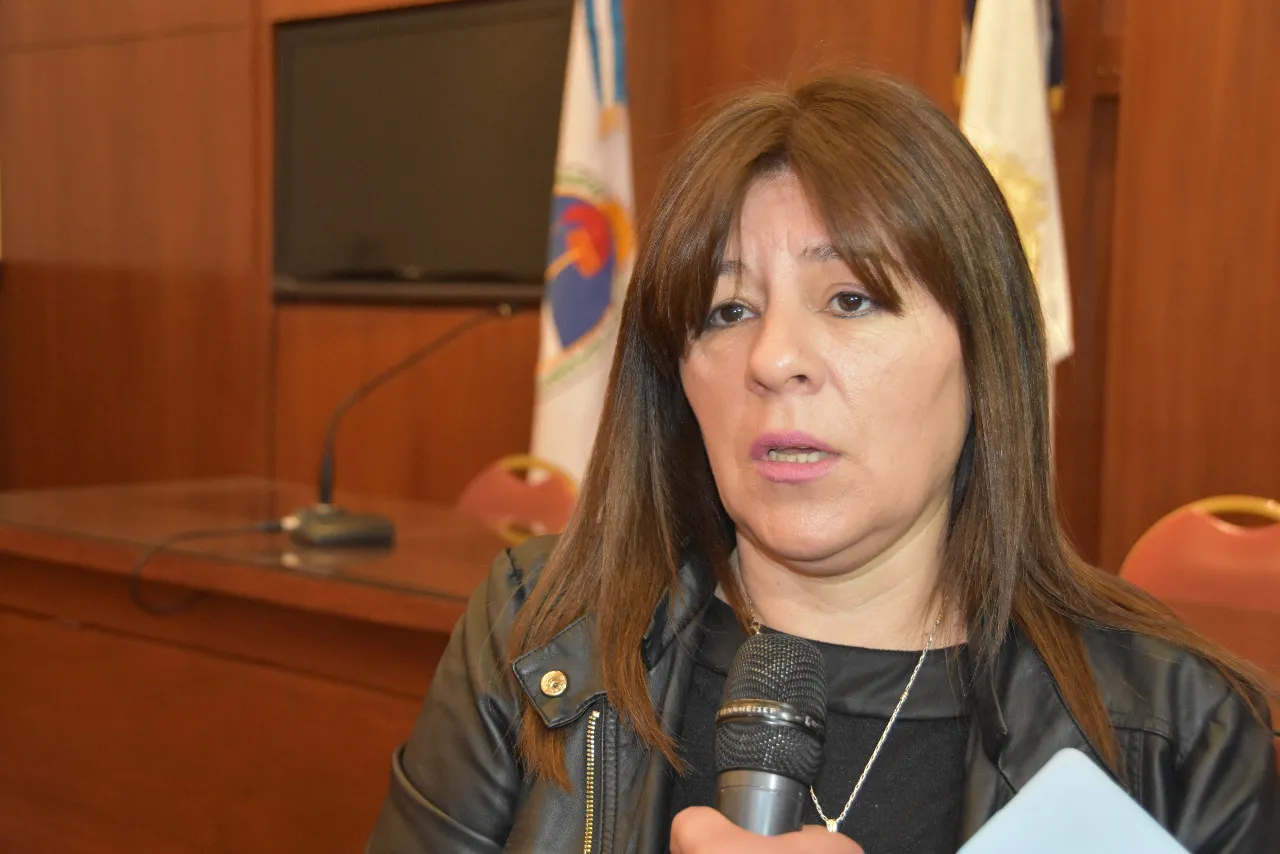 Patricia Alejandra Armella diputada pj