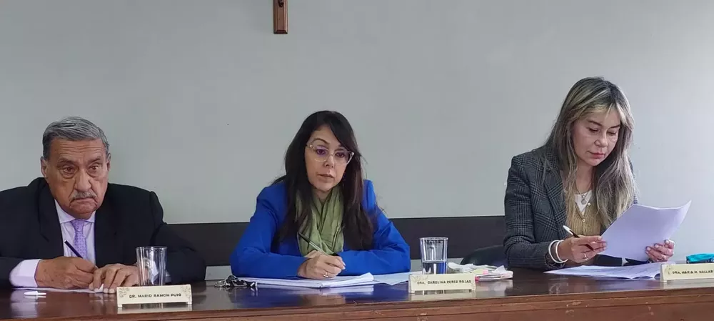 tribunal juicio pamela gorosito