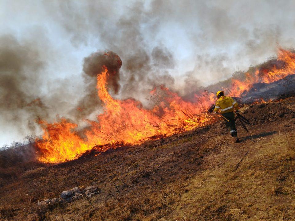 INCENDIO FORESTAL