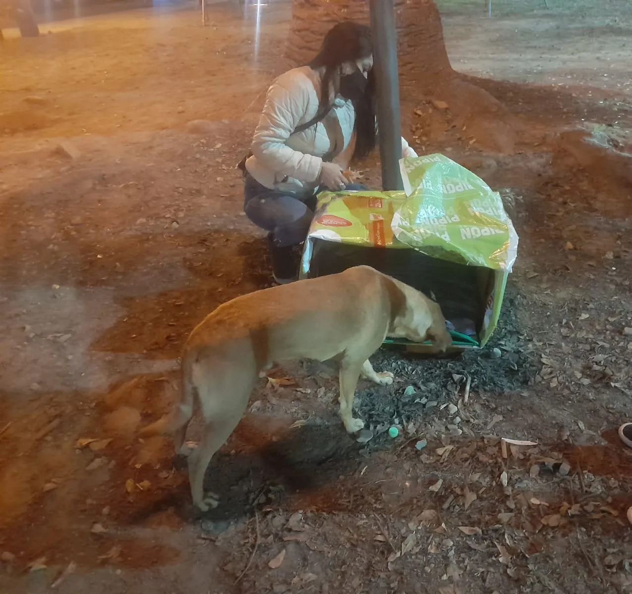 Acci N Solidaria Confeccionan Cuchas De Materiales Reciclables Para