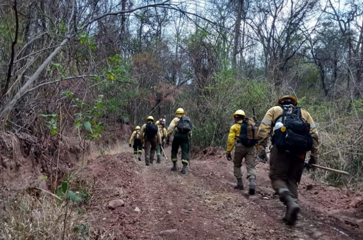 INCENDIOS VUELTA