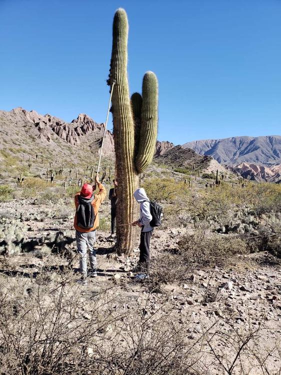 FB_IMG_1634918904378