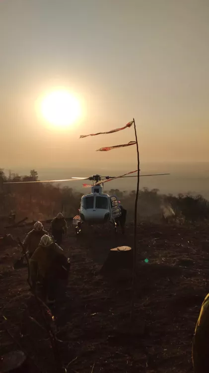 incendios forestal3