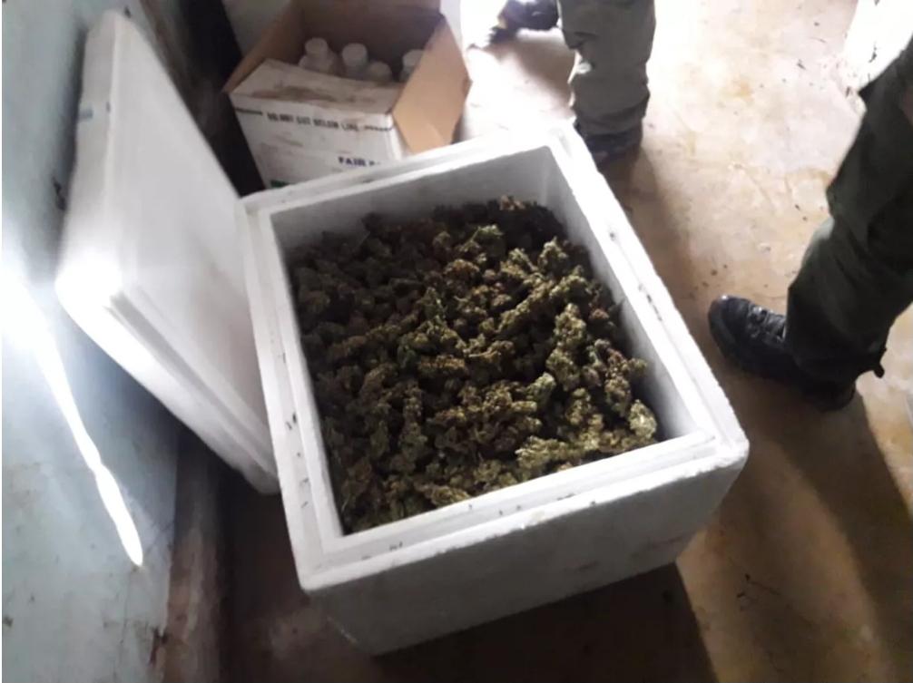 Screenshot_20220206-172947_Facebook