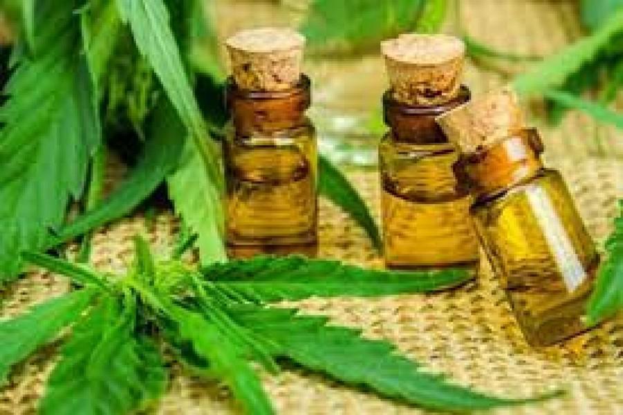 canabis medicinal jujuyu