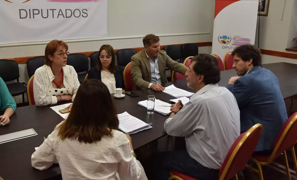 ASUNTOS INSTITUCIONALES LEGISLATURA1