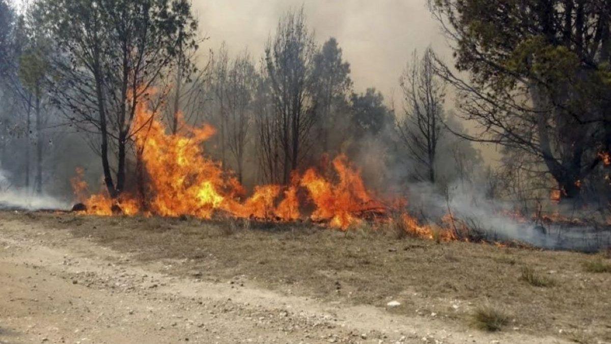 1105incendiosjujuy-1072223