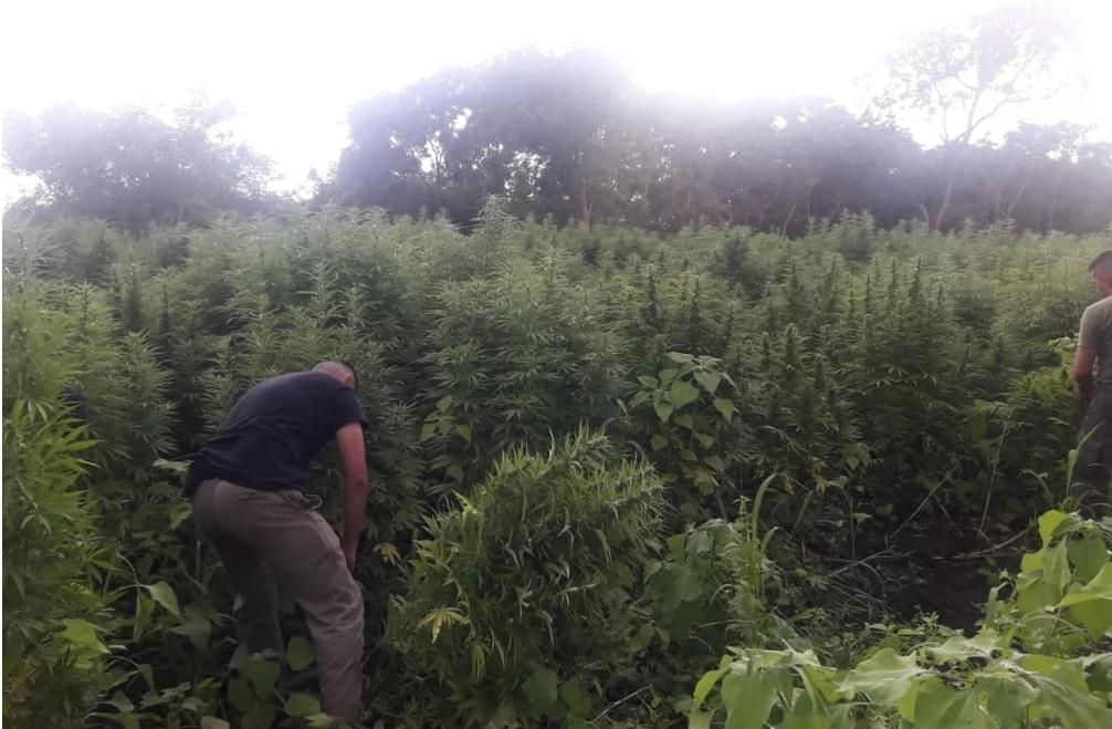 Screenshot_20220206-172852_Facebook