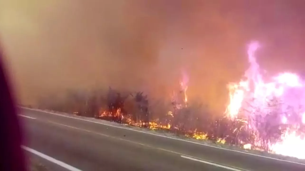 incendios ramal2