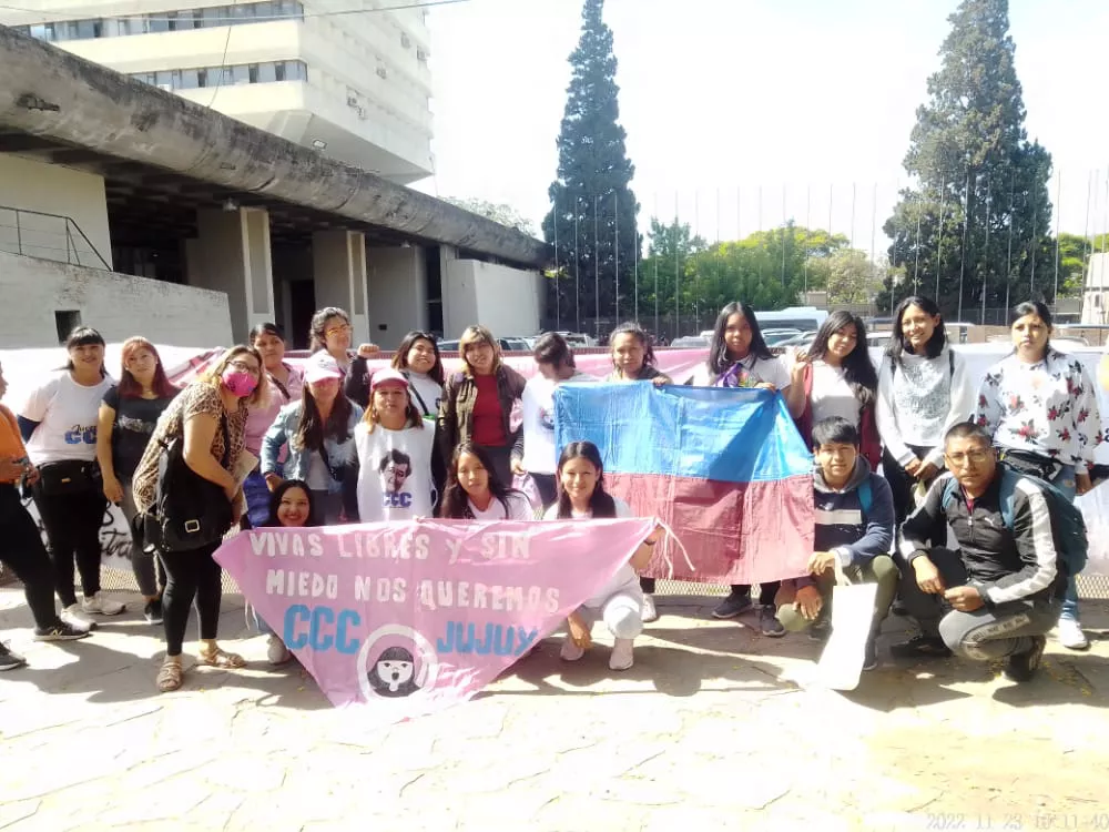 multisectorial mujer caso lemme1