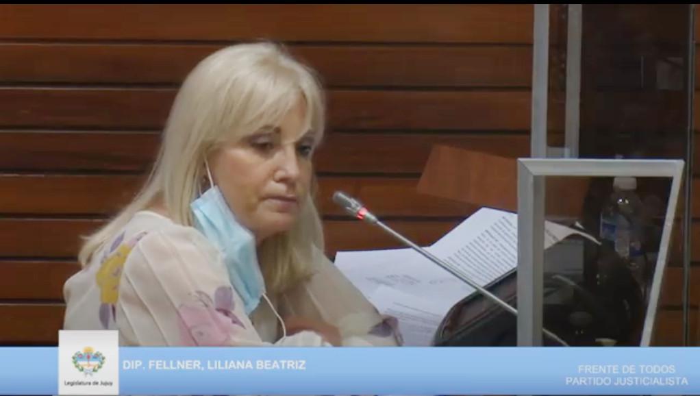 liliana fellner