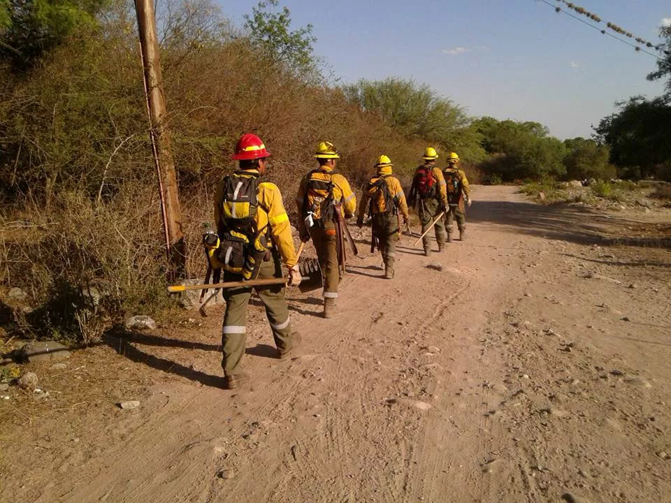 BRIGADA PROVINCIAL MANEJO DEL FUEGO1