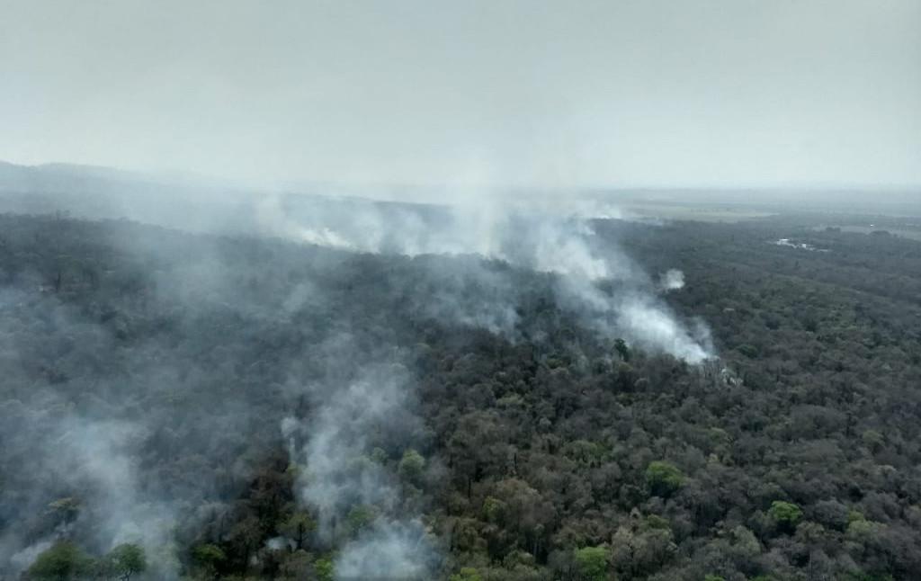 incendio yungas
