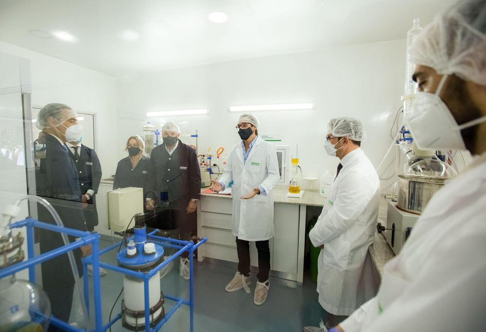 cannava laboratorio7