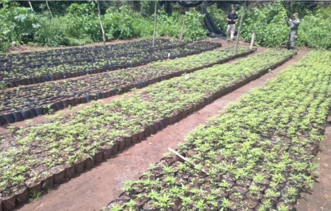 Screenshot_20220206-172829_Facebook