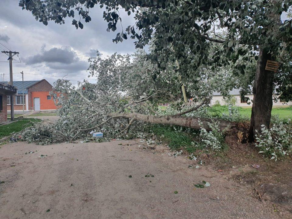 temporal1