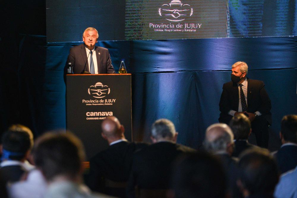 cannava laboratorio4