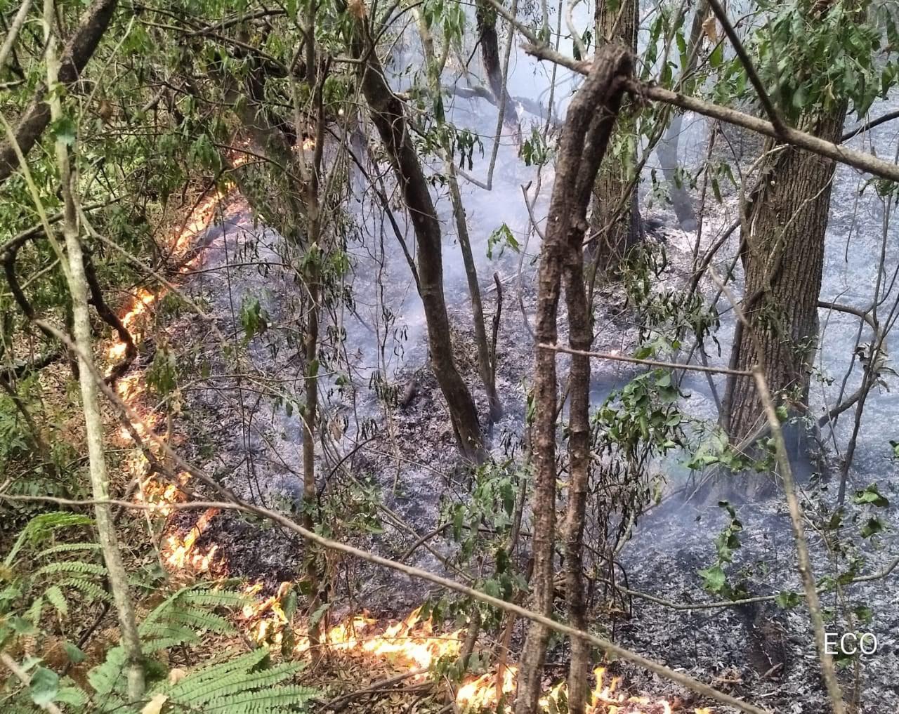 incendio yungas 2