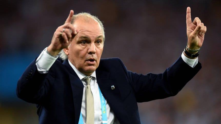 sabella